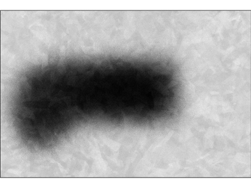 BLUR 18 - Rectangular cotton rug by VIDAME EDITIONS - view 2